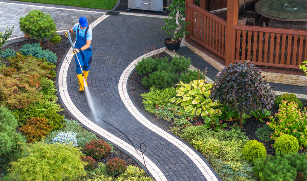 Best Exterior Home Cleaning  in Wilton, CA